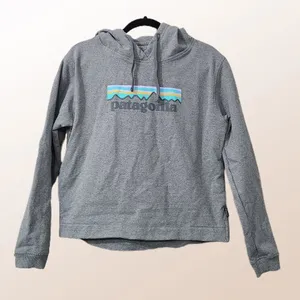 Patagonia -859 Pastel Logo Uprisal‎ Hoddie - grey - Medium thumbnail 2