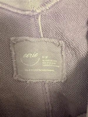 Aerie Oversized V Neck French Terry Sweatshirt thumbnail 4