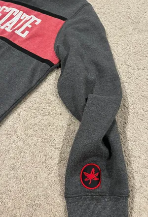 Ohio State Hoodie Gray Size L thumbnail 4