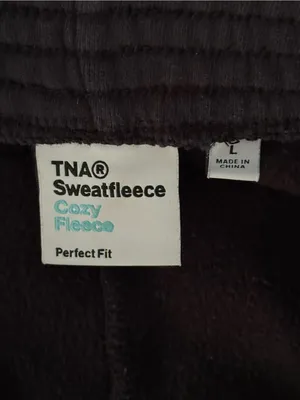 Aritzia Tna Cozy Fleece Perfect Sweatpant in Black thumbnail 4