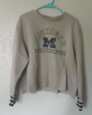 Russell Athletic Michigan wolverines light sweatshirt thumbnail 1