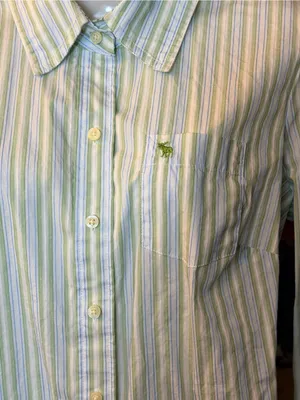 Vintage Ezra Fitch by Abercrombie & Fitch Y2K Button-Up 💚🩵 thumbnail 12