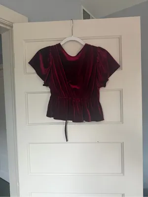 New Urban Outfitters Velvet Top thumbnail 3