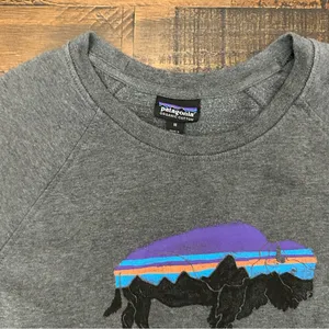 Patagonia Fitz Roy Bison Ahnya Crew Sweatshirt Womens Medium Gray Organic Cotton thumbnail 2