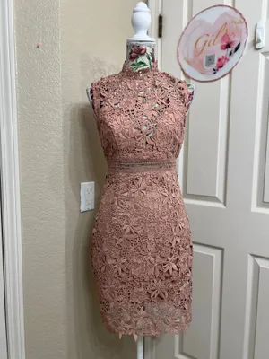 Bardot Paris Lace High Neck Dress Pink Size 4 NWT Cocktail Wedding Guess thumbnail 2