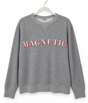 Acne Studios Nick Print Magnetic Graphic Sweatshirt Gray SM (AW13) thumbnail 1