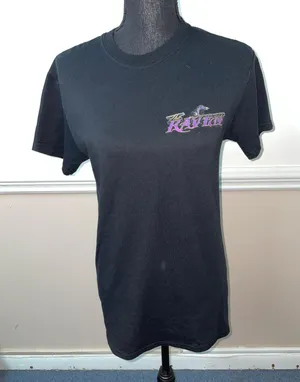 Gildan The Raven Car Black Short Sleeve Tee Shirt Size Small thumbnail 1