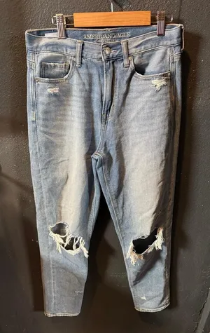 Women's American Eagle Light Wash Distressed Mom Jeans Size 4 thumbnail 1