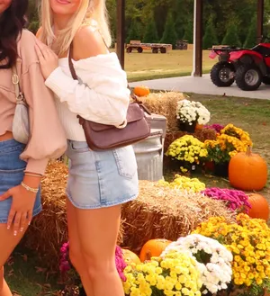 Brandy Melville Sweater thumbnail 5