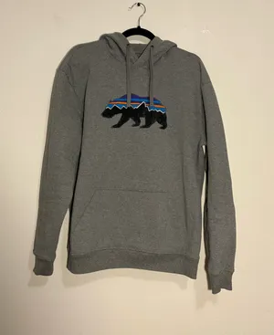 Patagonia Hoodie Grey thumbnail 1