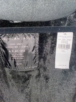 American Eagle Outfitters Puffy Jacket thumbnail 4