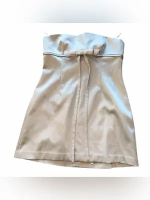 NWOT Zara Strapless Pearl Grey/Silver Satin Dress with Bow XXL Bloggers Fave thumbnail 6