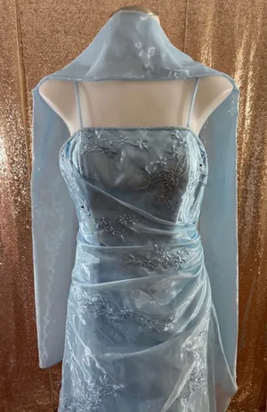 90s Baby Blue Formal Dress with Matching Scarf thumbnail 1