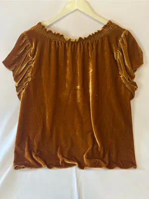 FREE PEOPLE Terese Velvet Top in Pumpkin Pie size L thumbnail 2