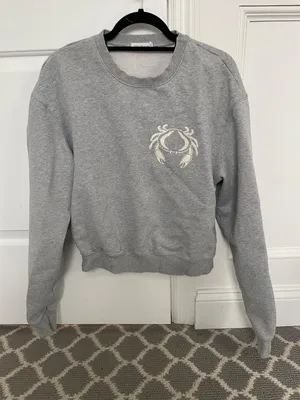 Good American Oversized Zodiac Cancer Boyfriend Sweatshirt Size 1! thumbnail 3