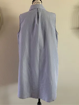 Sleeveless Blue Stripe Shirt Dress with Red Rose Embroidery thumbnail 4
