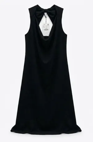 Zara Black Sleeveless Dress thumbnail 1