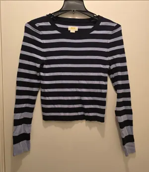 Anthropologie Striped Long-Sleeve Crewneck Top in Black and Light Blue thumbnail 1