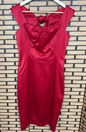 Limited‎ Red Dress Size 2 thumbnail 1