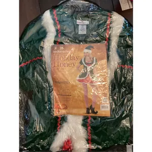 NIB Holiday Honey Christmas Costume by InCharacter Costumes Sz L thumbnail 4
