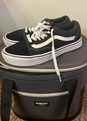 sk8-low thumbnail 3