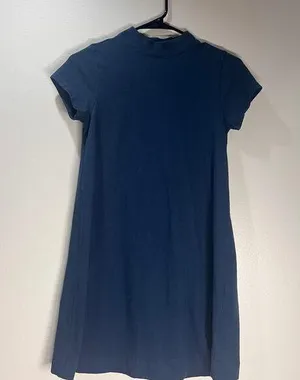 Everlane 100% Cotton The Weekend Swing Dress Sz S thumbnail 1