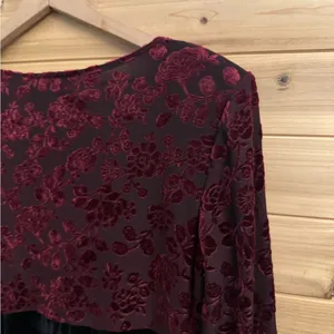 Vintage Molly Malloy Medium Floral Burnout Velvet Long Sleeve Whimsigoth Dress thumbnail 9