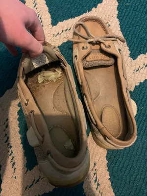 Sperry Flats thumbnail 5
