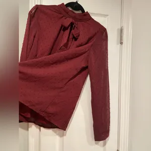 NWT Aconiya Size M Burgundy Swiss Dot Chiffon Lined High Neck Bow Lined Top thumbnail 8