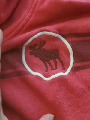 Abercrombie & Fitch Kids Red Hooded Sweatshirt with Moose Patch Size 11-12 thumbnail 3
