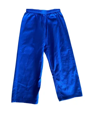 Amazing 2-piece Electric Blue Martial Arts Gear Uniform Set 🔥 thumbnail 3