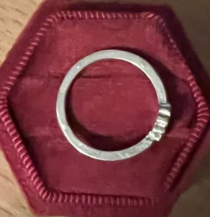 Women’s Stainless Steel Silver Embellished Ring Size 6 NWT thumbnail 2