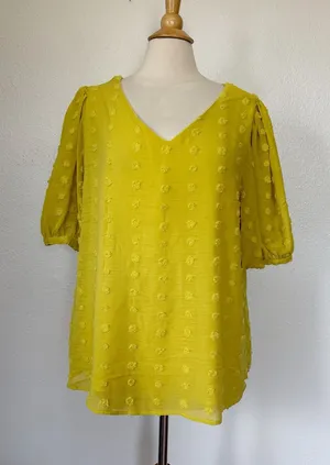 Kori Chartreuse Swiss Dot Short Sleeve Blouse thumbnail 1