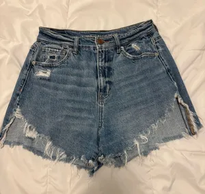 American Eagle Shorts thumbnail 1