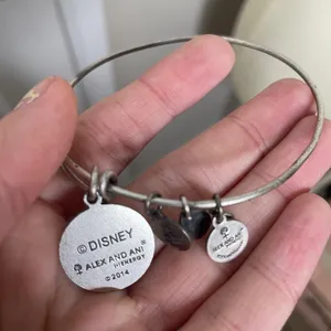Alex and Ani Walt Disney world silver bangle thumbnail 3