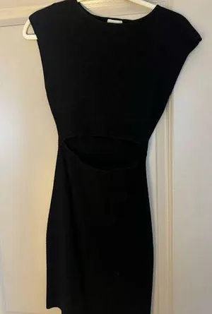 Aritzia Wilfred free size small dress thumbnail 1