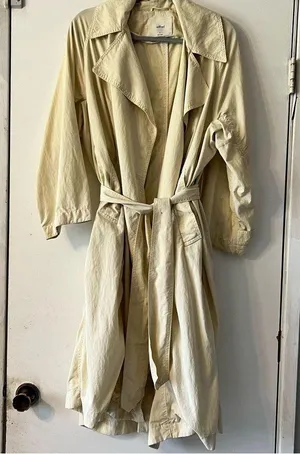 Wilfred Aritzia Trench Coat thumbnail 2