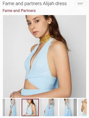 Fame and Partners Formal Dress thumbnail 3