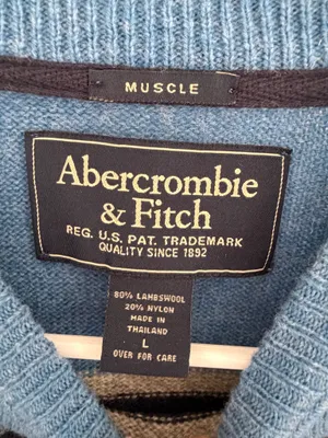 Abercrombie & Fitch Men's Sweater Lambswool Blend Blue Striped L Muscle Y2K VTG thumbnail 4