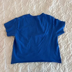 Gildan Hillsdale College Cropped Tee thumbnail 2
