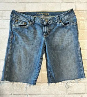 American Eagle Outfitters Blue Denim Jean Shorts thumbnail 1