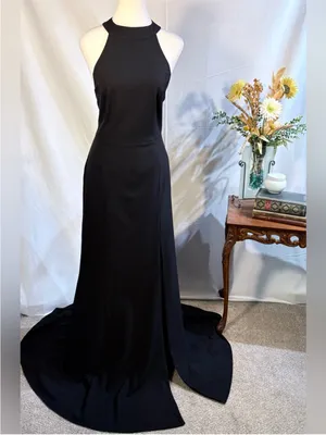 💥BHLDN Serephina Black Crepe Backless Halter Maxi Gown Side Slit Sz 12🧡 thumbnail 4