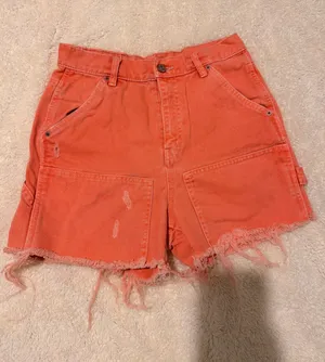 BDG Coral Distressed Cargo Shorts thumbnail 1