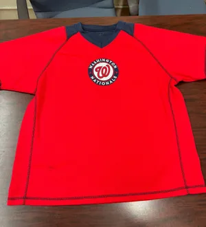Washington Nations Mens Dynasty Baseball Jersey Size X-Large thumbnail 1