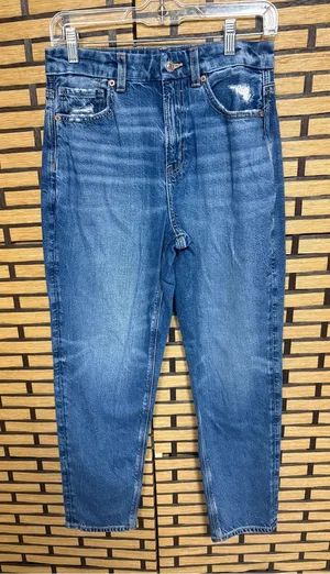 American Eagle Curvy Mom Jeans Size 6 thumbnail 1