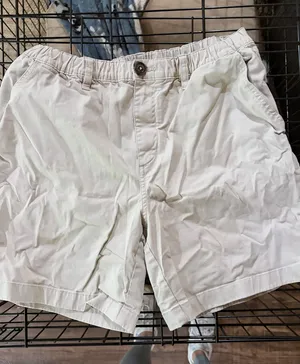 Chubbies Shorts thumbnail 1