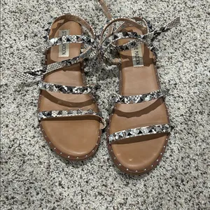 Steve Madden Snakeskin and Brown Women's Sandals thumbnail 2