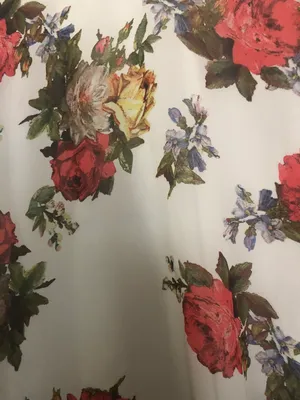 Show Me Your Mumu White Floral Mini Dress thumbnail 4