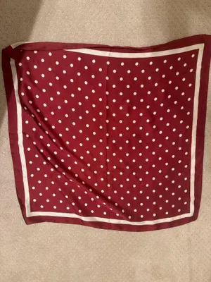 Showpo Polkadot Red Scarf thumbnail 1