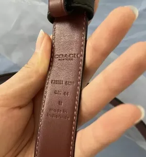 coach Horse And Carriage Buckle Belt f78181 size s m thumbnail 6